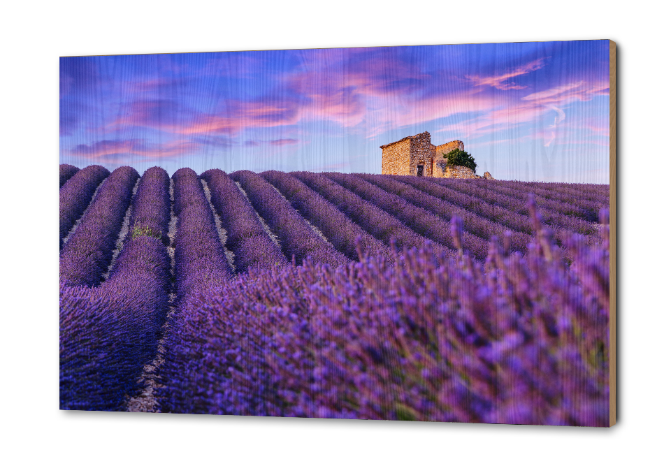 0 Тест Авторская | купить картину в 0 Тест Авторская