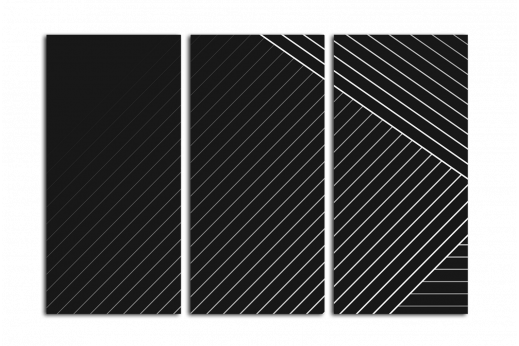Модульная картина Белое на черном
